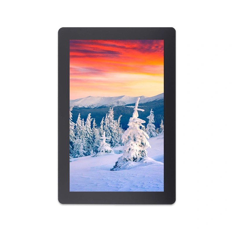 10,1 tum 800x1280 Upplösning IPS MIPI gränssnitt LCD-modull