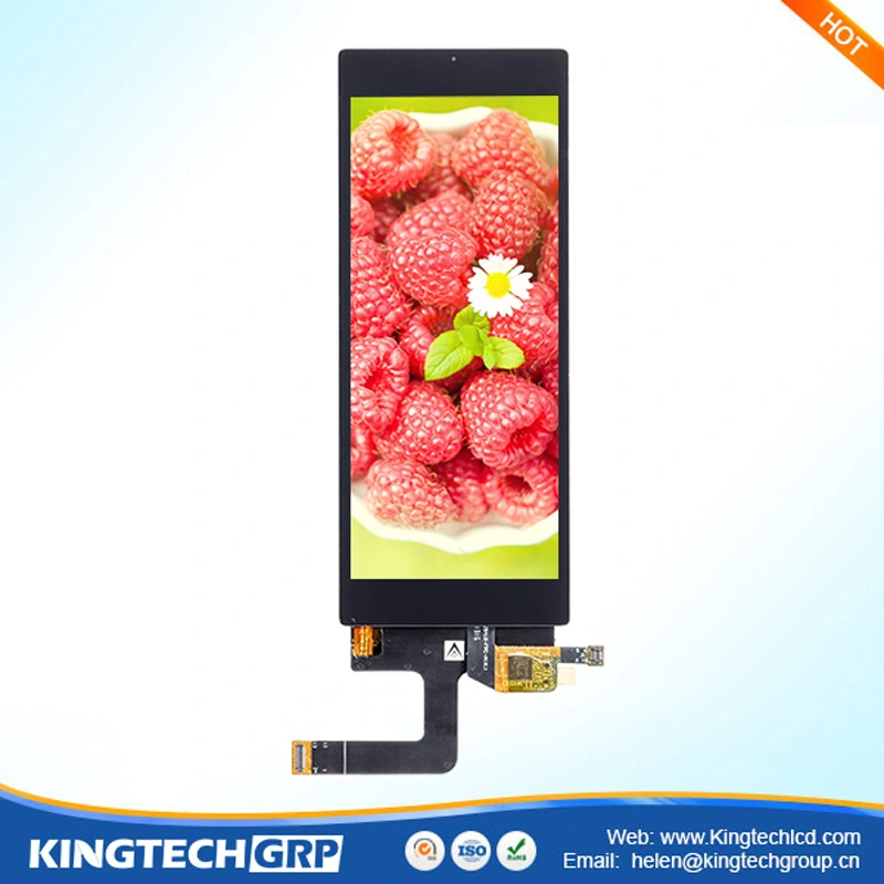 Fullvy vinkel 4,82 tum 180x1120 Mipi gränssnittsstång typ LCD-displayName